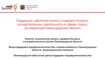 Поддержка субъектов малого и среднего бизнеса, осуществляющих деятельность в