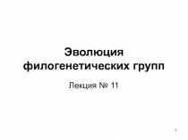 Эволюция филогенетических групп