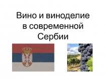 Вино и виноделие в современной Сербии