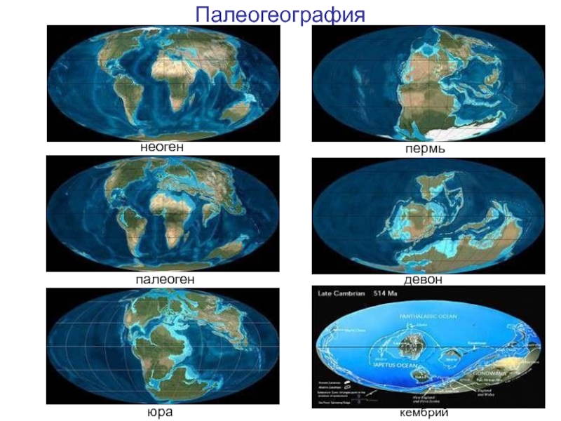 Неоген карта мира