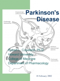 Parkinson's Disease
