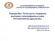 Тақырыбы : Тістің қатты тіндерінің анатомия-топографиялық және гистологиялық