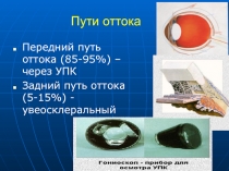 Пути оттока