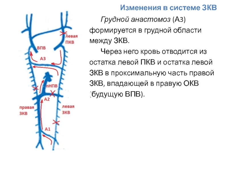 Область между