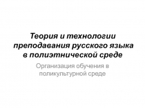 Теория и технологии преподавания русского языка в полиэтнической среде