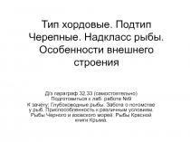 Тип хордовые. Подтип Черепные. Надкласс рыбы. Особенности внешнего строения