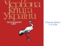 Кільчик Данііл 5-А клас