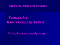 Тақырыбы: Қан- тамырлар жүйесі