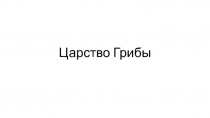 Царство Грибы