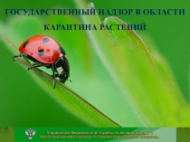 Карантинный фитосанитарный контроль (надзор) осуществляется в 5 пунктах