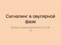 C игналинг в овулярной фазе