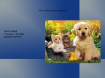 Як спілкуються тварини?
Підготувала
Учениця 7-В класу
Шмагло Євгенія