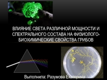 Влияние света различной мощности и спектрального состава на