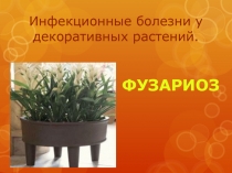 Инфекционные болезни у декоративных растений