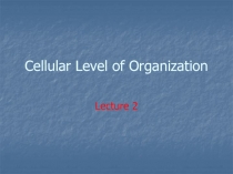 Cellular Level of Organization