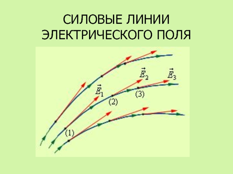 Картина силовых линий электростатического поля