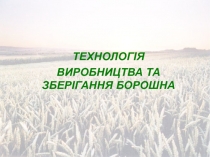 ТЕХНОЛОГІЯ
ВИРОБНИЦТВА ТА ЗБЕРІГАННЯ БОРОШНА
