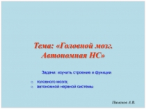 Пименов А.В.
Тема: Головной мозг. Автономная НС
Задачи: изучить строение и