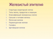 Железистый эпители й