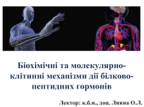 Б іохімічні та молекулярно- клітинні механізми дії білково-пептидних