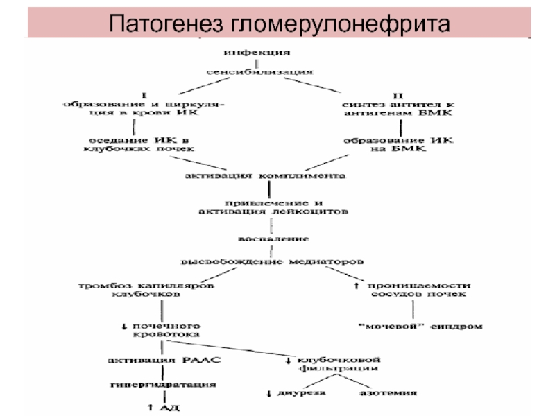 Патофизиология в картинках