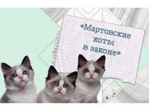 Мартовские коты в законе
