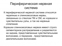 Периферическая нервная система