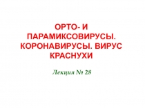 ОРТО- И ПАРАМИКСОВИРУСЫ. КОРОНАВИРУСЫ. ВИРУС КРАСНУХИ