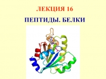 ЛЕКЦИЯ 16
ПЕПТИДЫ. БЕЛКИ
