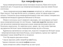 Ауа микрофлорасы