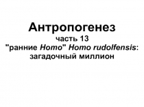 Антропогенез часть 13 