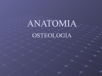 ANATOMIA OSTEOLOGIA