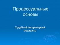 Процессуальные основы