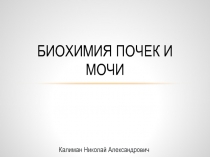 Биохимия почек и мочи