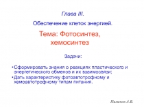 Задачи:
Сформировать знания о реакциях пластического и энергетического обменов