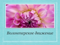 Волонтерское движение