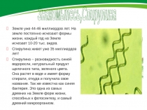 Земле уже 44-46 миллиардов лет. На земле постоянно исчезают формы жизни, каждый
