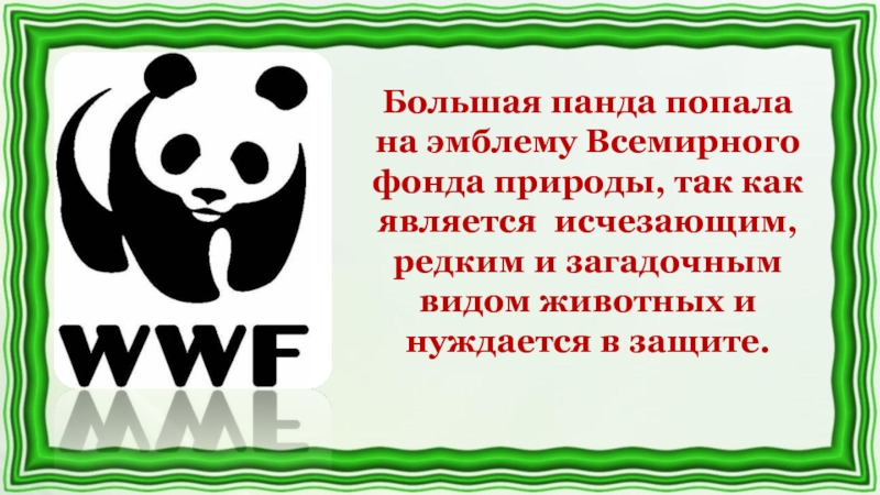 Изображение какого животного является эмблемой всемирного фонда дикой природы евразия