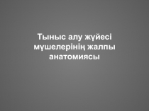 Тыныс алу жүйесі мүшелерінің жалпы анатомиясы
