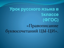 Урок русского языка в 5классе (ФГОС)