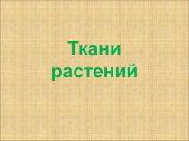 Ткани растений