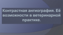 Контрастная ангиография. Её возможности в ветеринарной практике