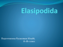 Elasipodida