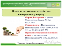 Плата за негативное воздействие
на окружающую среду
Форма Декларации – приказ