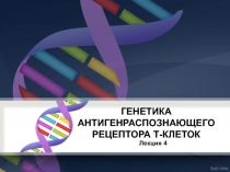 ГЕНЕТИКА АНТИГЕНРАСПОЗНАЮЩЕГО РЕЦЕПТОРА Т-КЛЕТОК