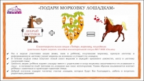 ПОДАРИ МОРКОВКУ ЛОШАДКАМ
Б лаготворительная акция Подари морковку