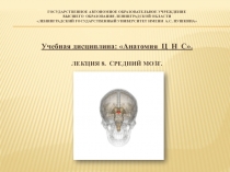 ГОСУДАРСТВЕННОЕ Автономное образовательное учреждение высшего образования