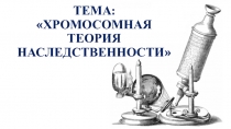ТЕМА: ХРОМОСОМНАЯ ТЕОРИЯ НАСЛЕДСТВЕННОСТИ
