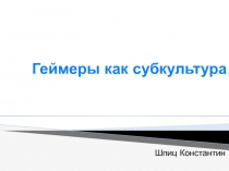 Геймеры как субкультура