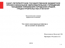 САНКТ-ПЕТЕРБУРГСКОЕ ГОСУДАРСТВЕННОЕ БЮДЖЕТНОЕ ПРОФЕССИОНАЛЬНОЕ ОБРАЗОВАТЕЛЬНОЕ